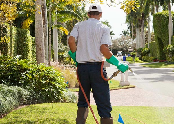 About Reedsburg WI Pest Control